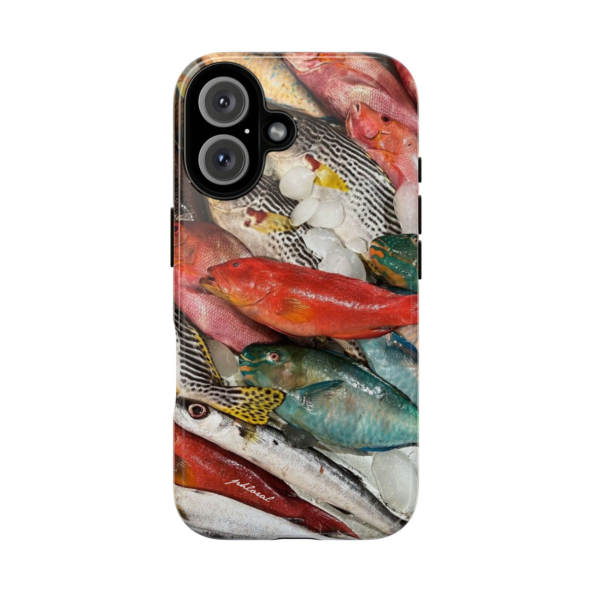 Coral & Scalė