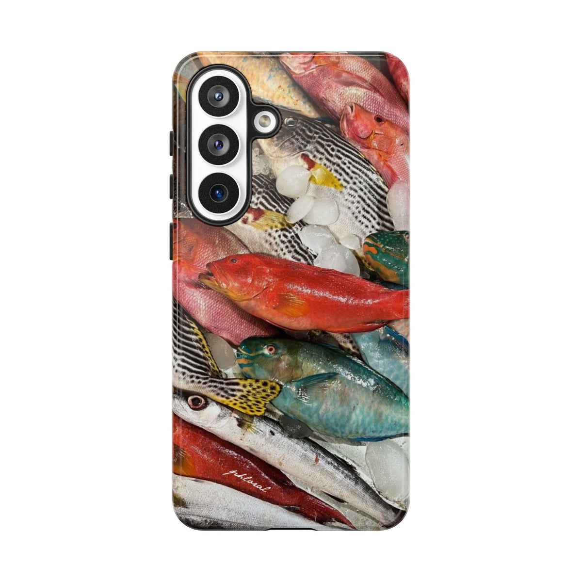 Coral & Scalė