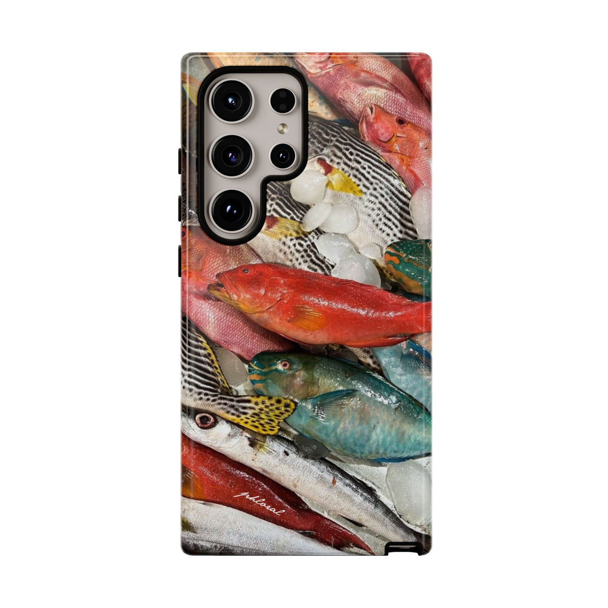 Coral & Scalė