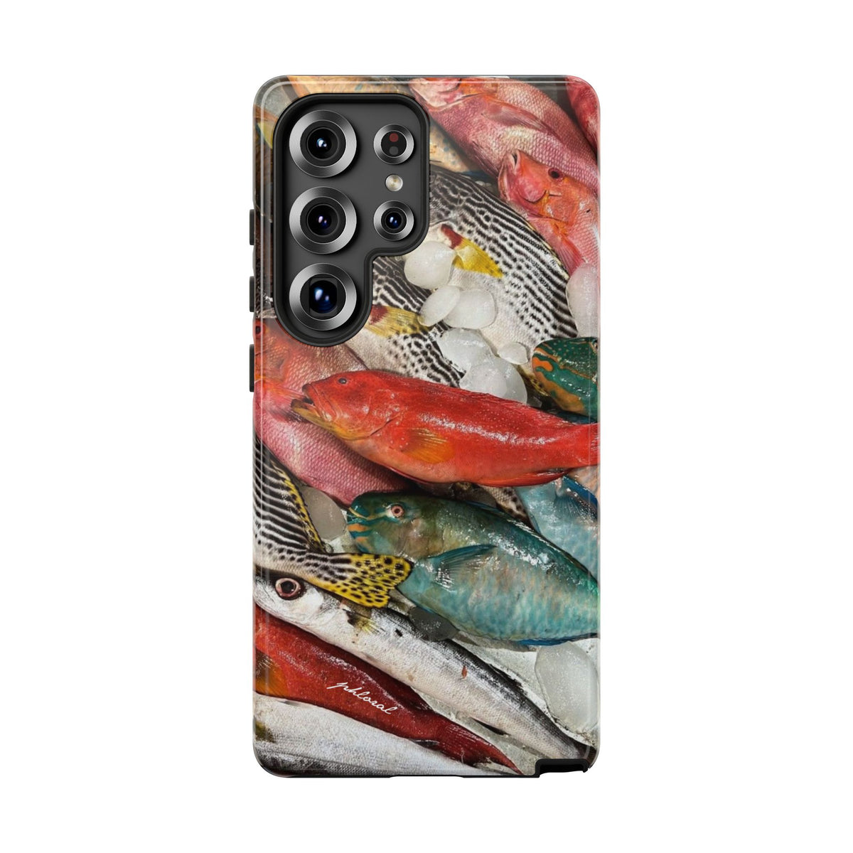 Coral & Scalė
