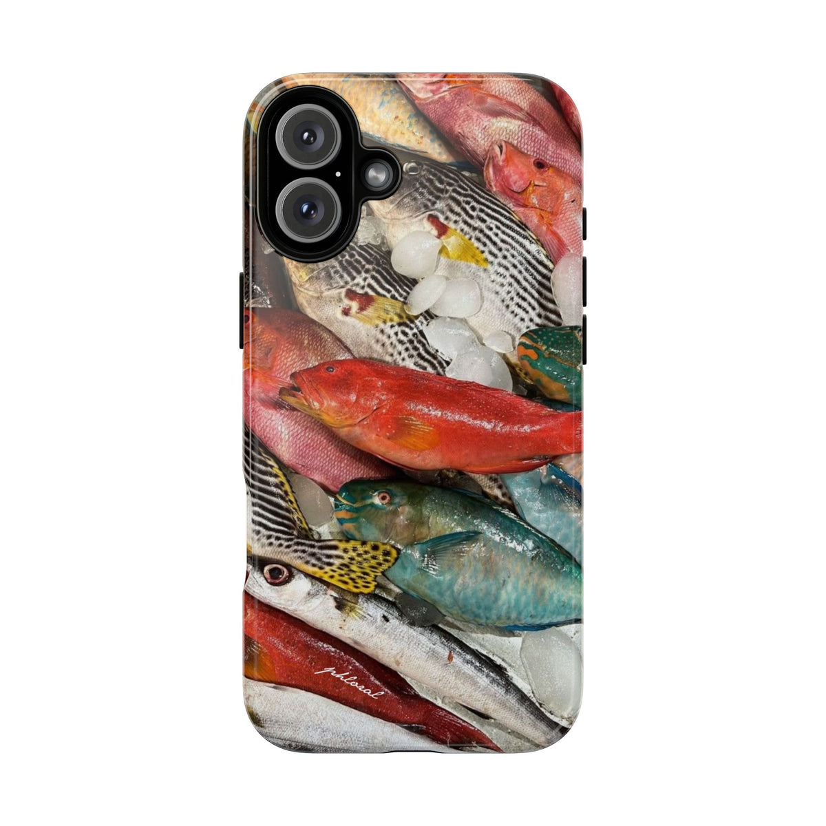 Coral & Scalė