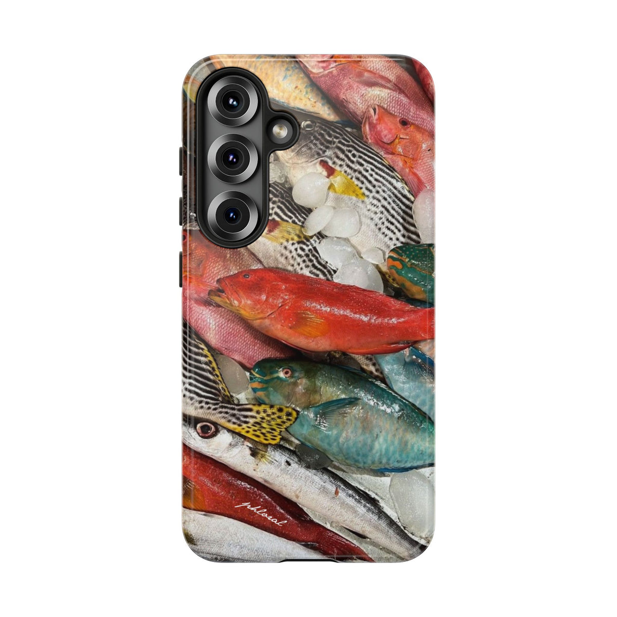 Coral & Scalė