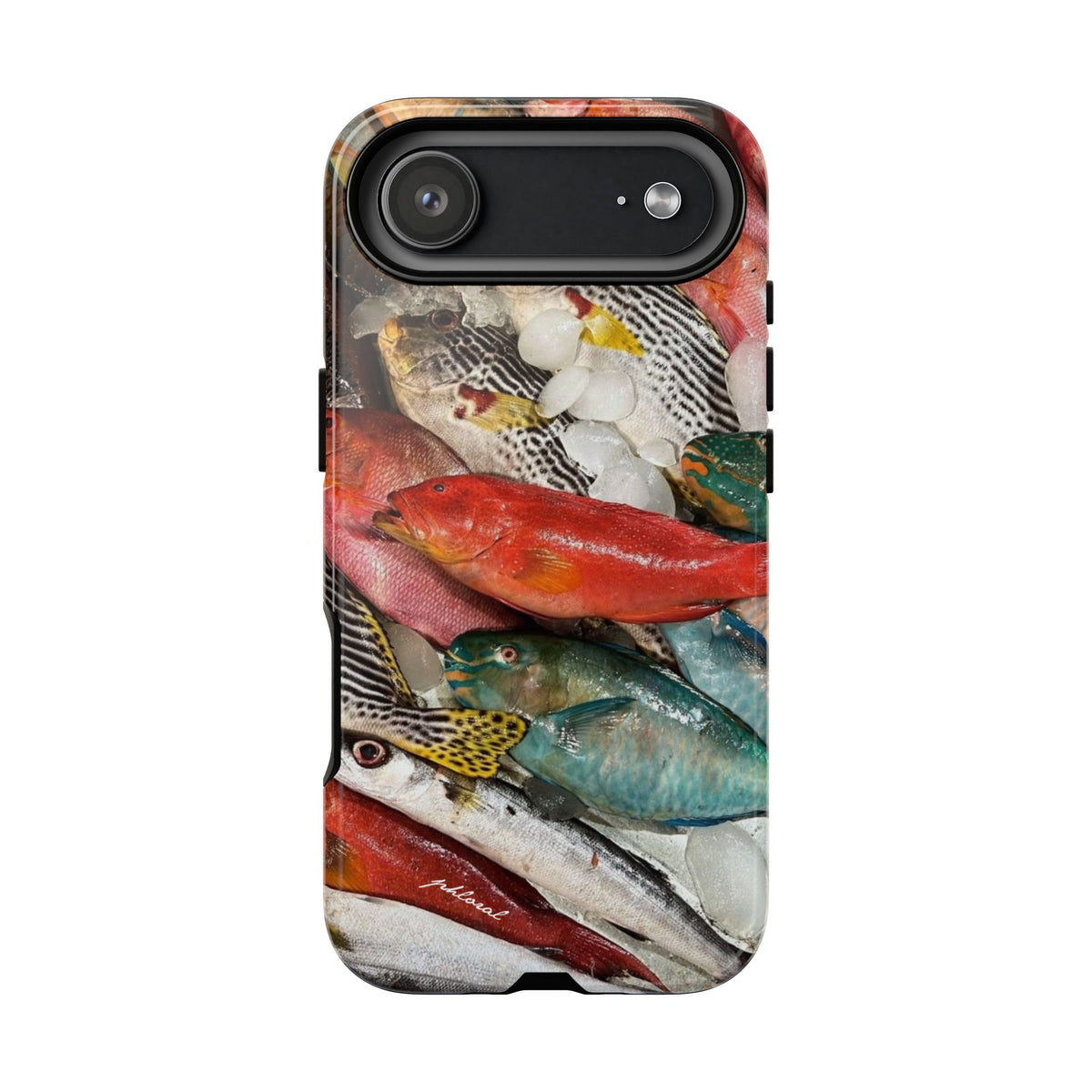 Coral & Scalė