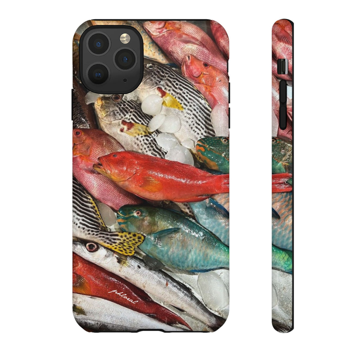 Coral & Scalė