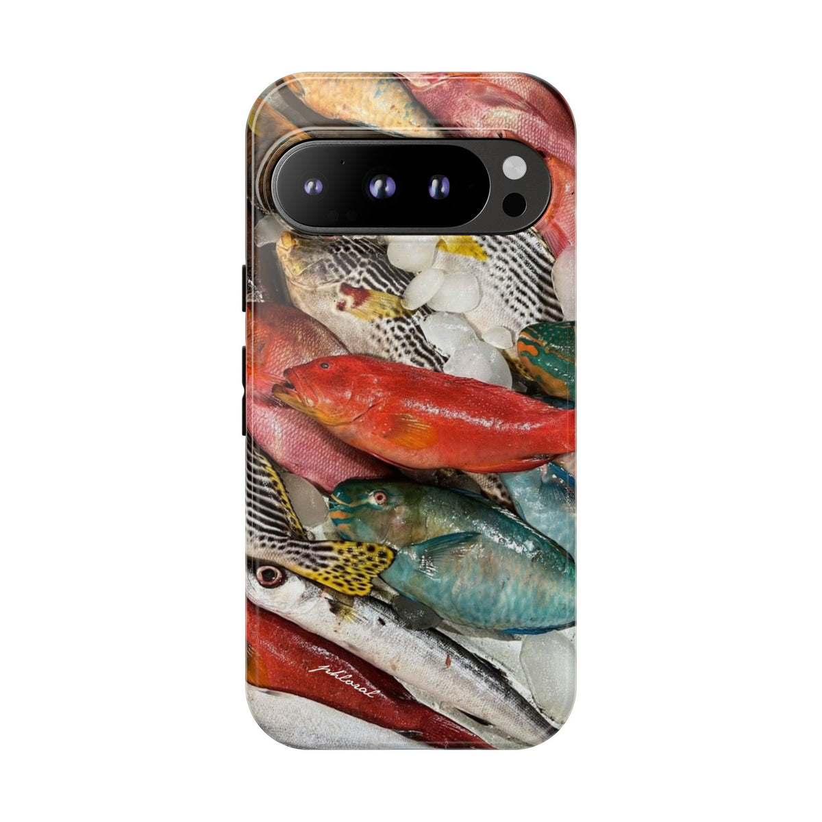 Coral & Scalė