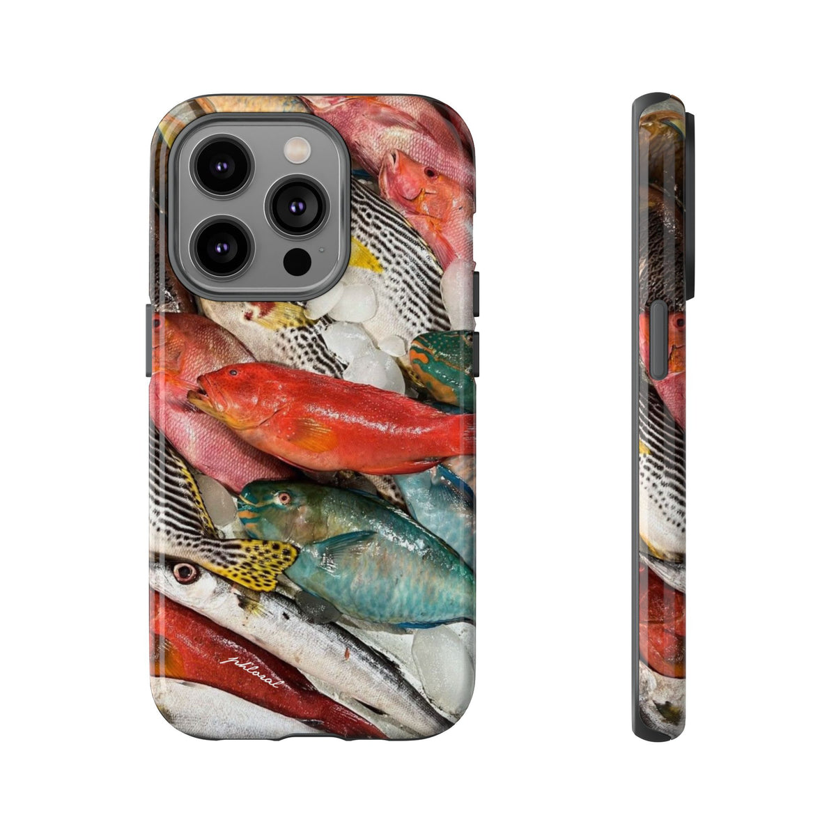 Coral & Scalė