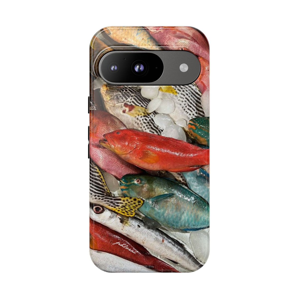 Coral & Scalė