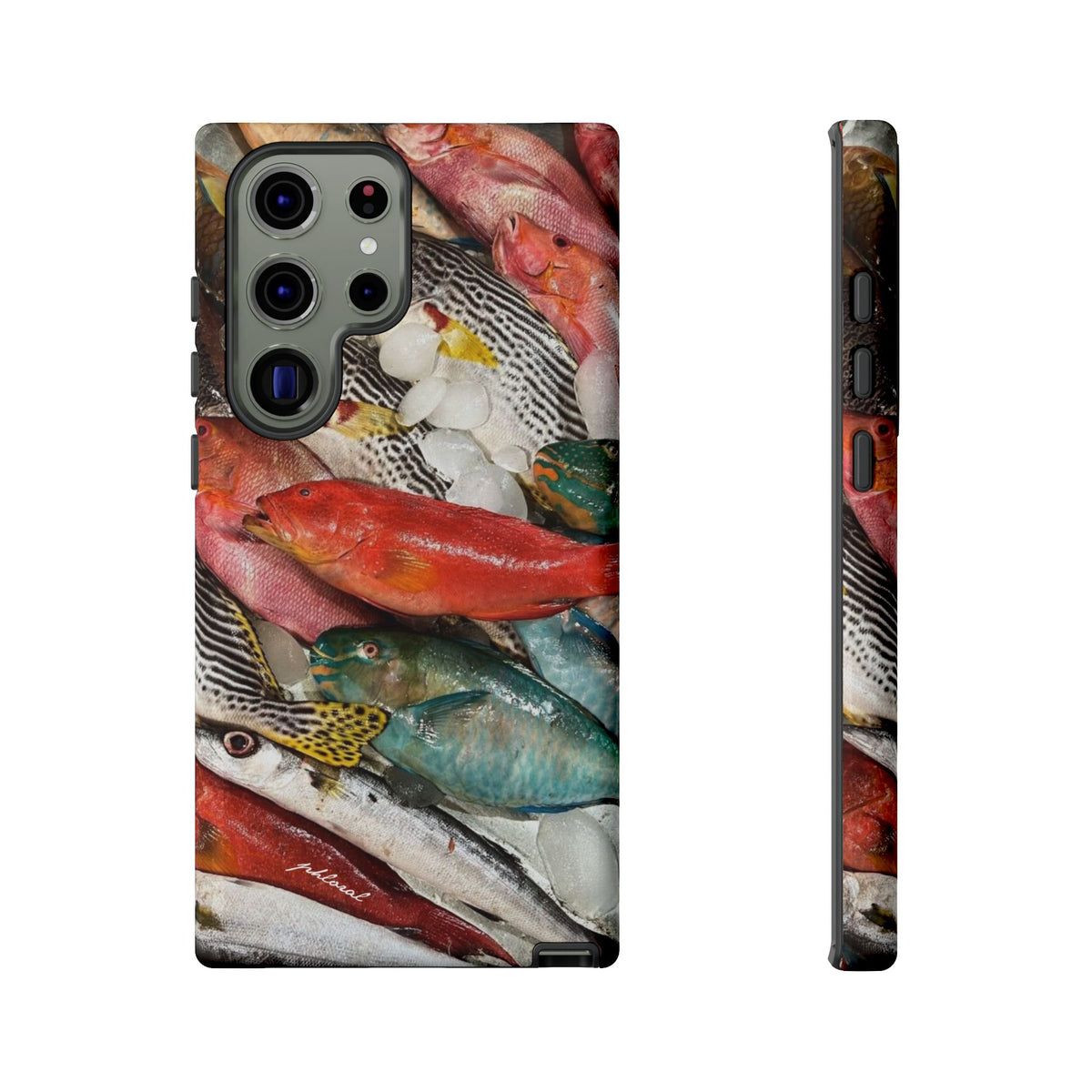Coral & Scalė