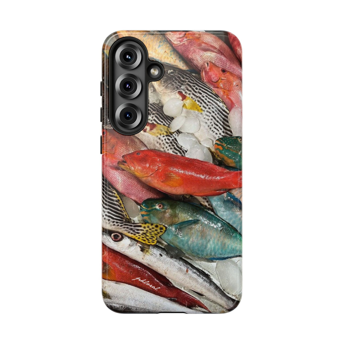 Coral & Scalė
