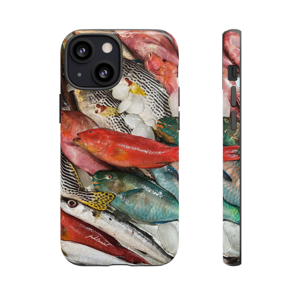 Coral & Scalė