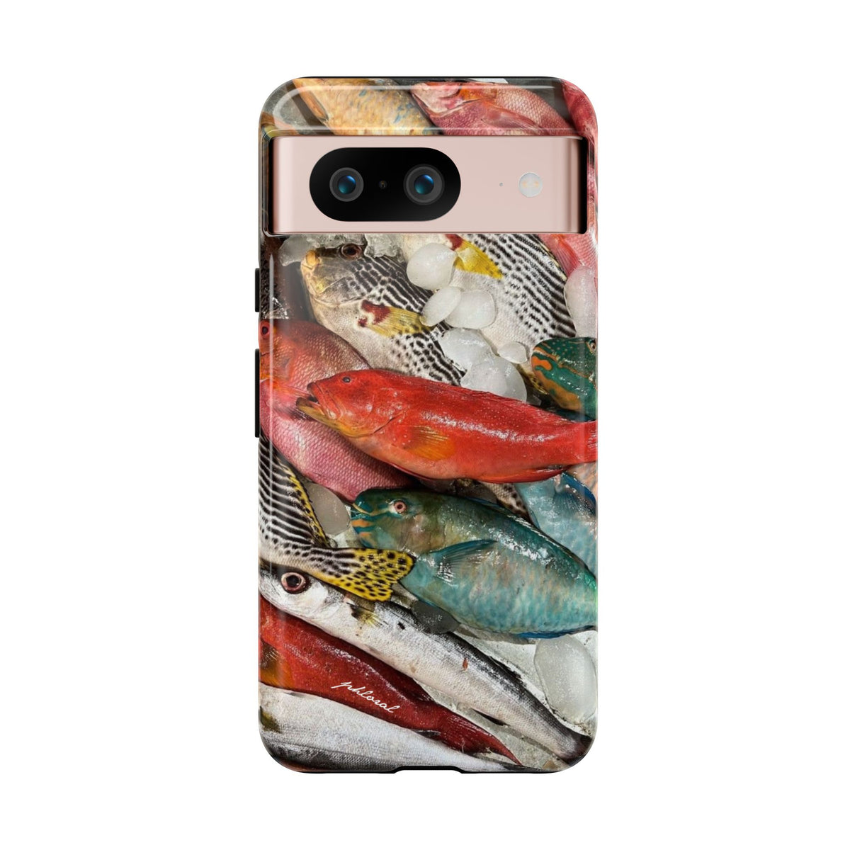 Coral & Scalė